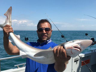 Go Fishing Brighton